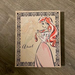 A hang on the wall picture of Disney's Ariel